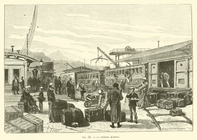 Gençlik by French School